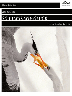cover image of So etwas wie Glück--Geschichten über die Liebe (ungekürzt)
